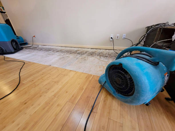 Professional Emergency Water Damage technician working in Norfolk, NE